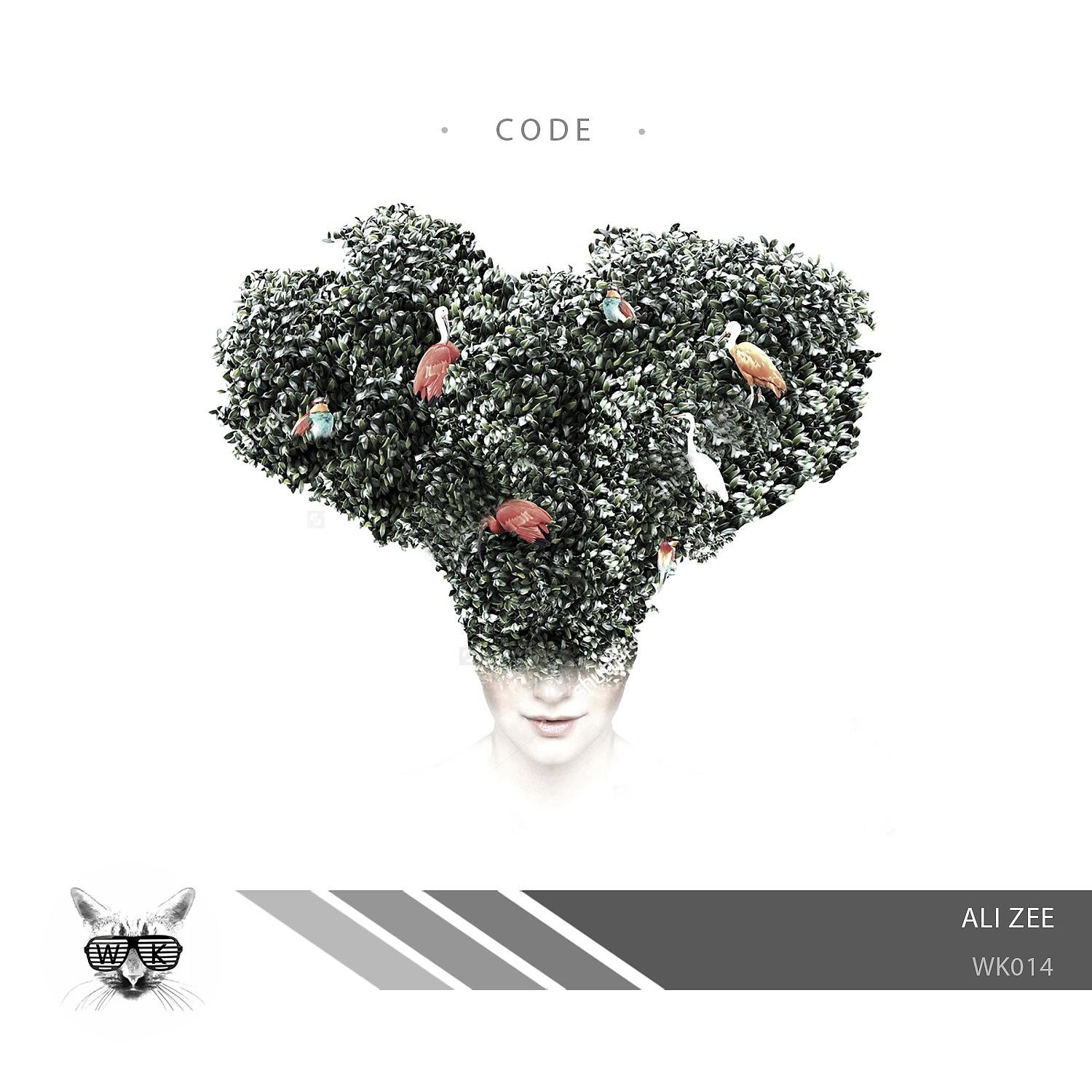 Постер альбома Code