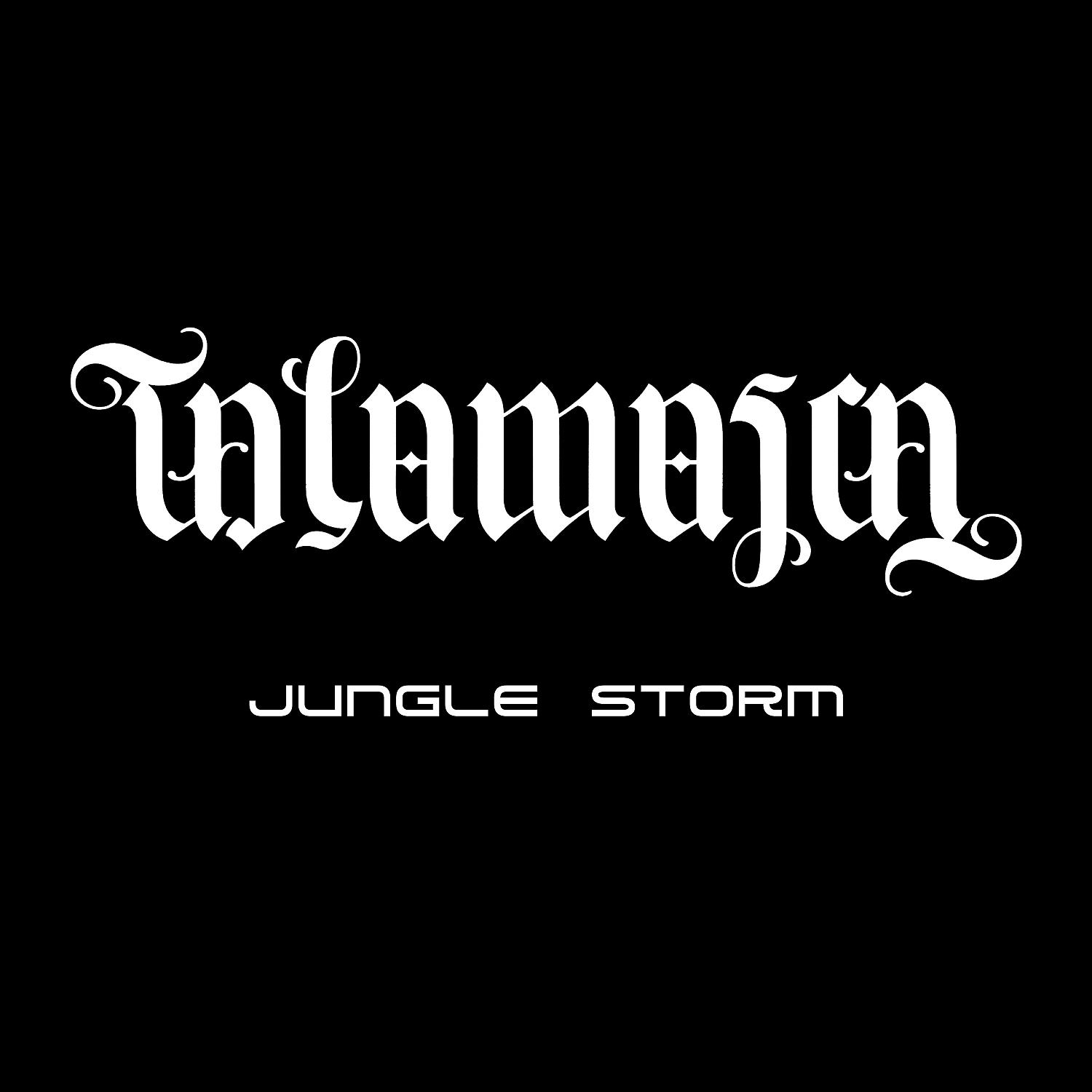 Постер альбома Jungle Storm