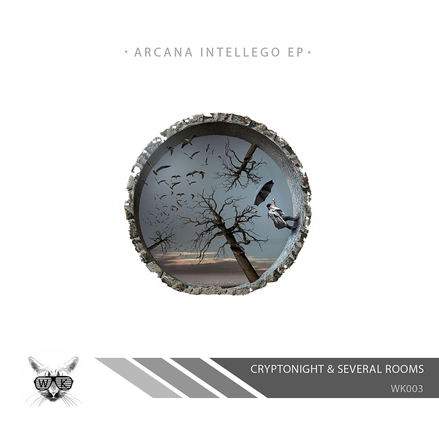 Cryptonight - Abraxas (Original Mix)