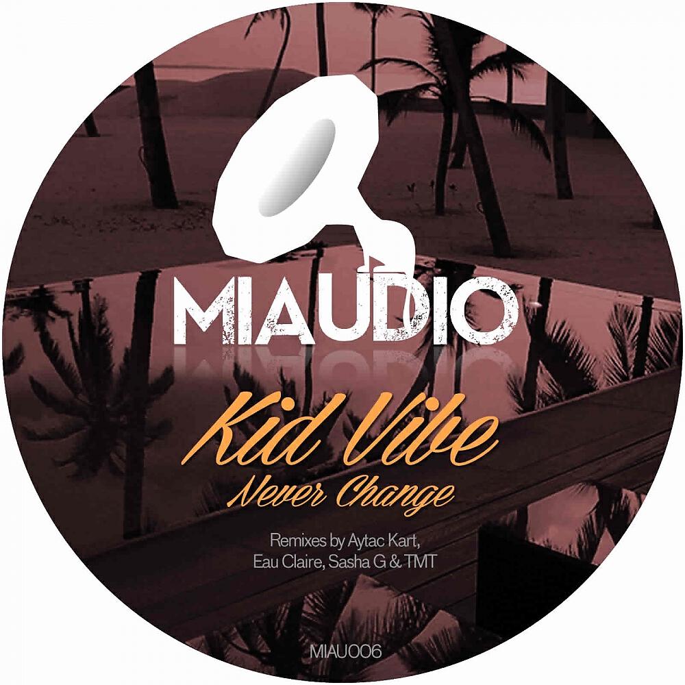 Kid Vibe - Never Change (TMT Remix)