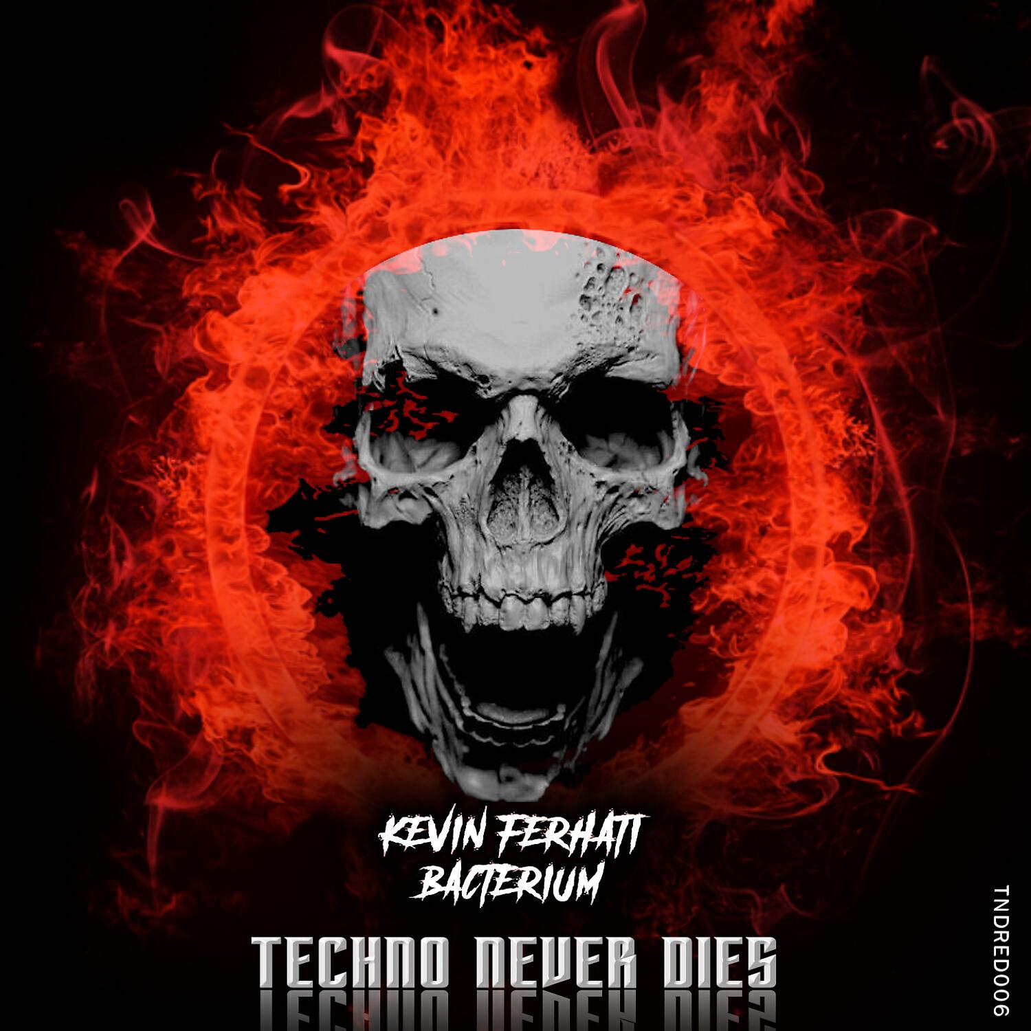 Kevin Ferhati - Bacterium
