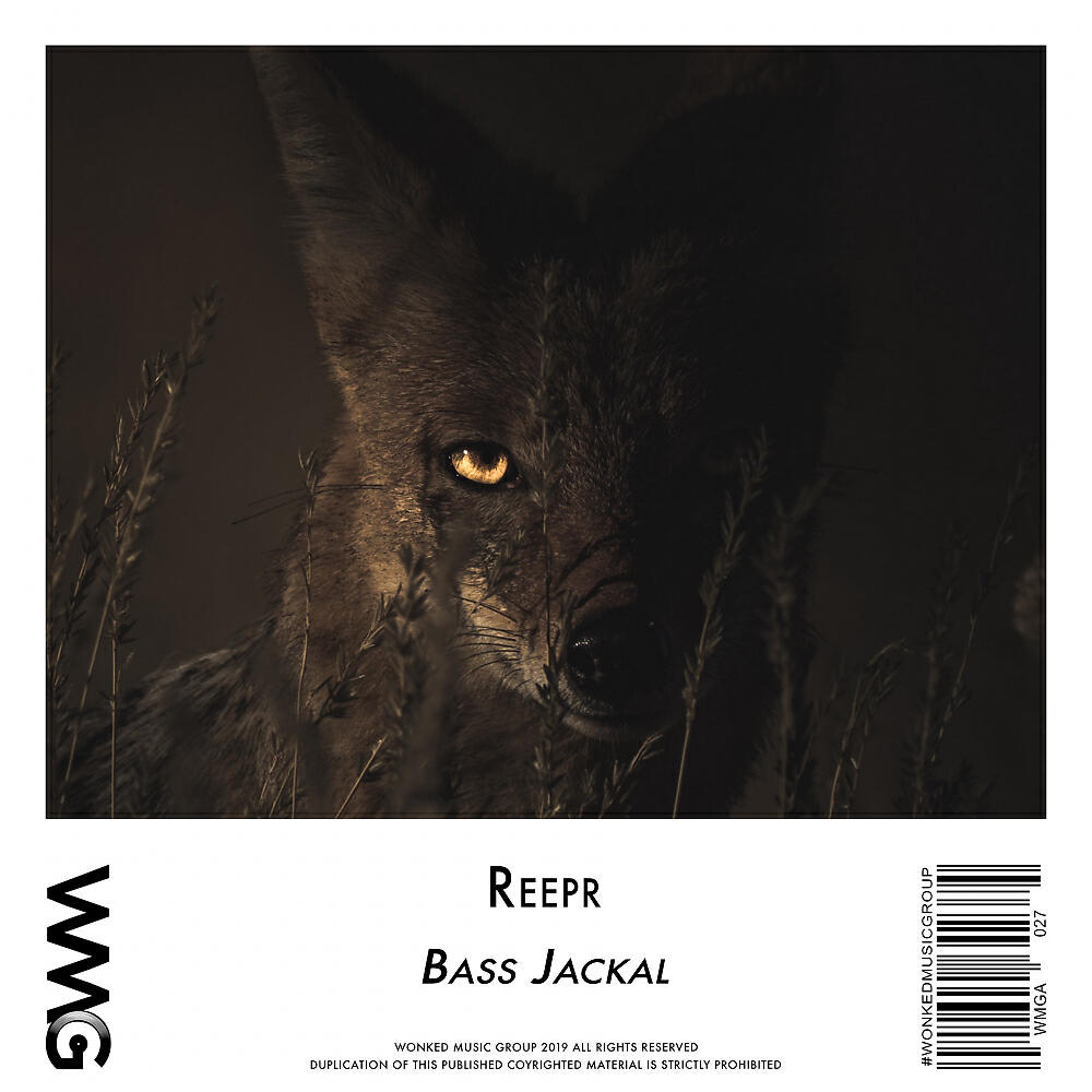 ReepR - Skw33k (Radio Mix)