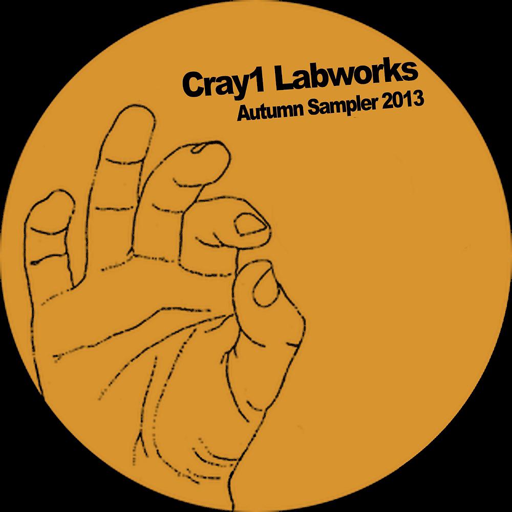 Постер альбома Cray1 Labworks Autumn Sampler 2013