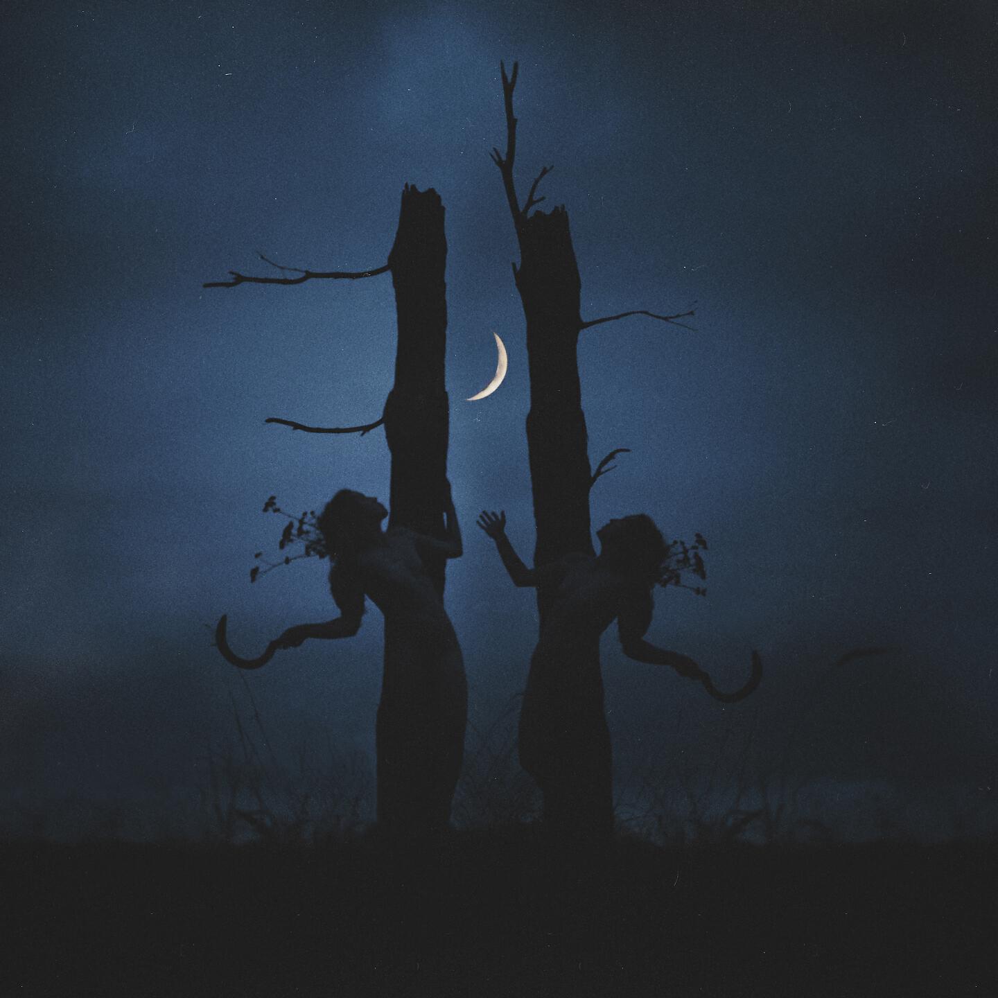 Morokh - The Cursed