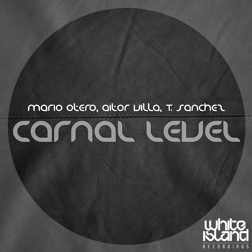 Постер альбома Carnal Level