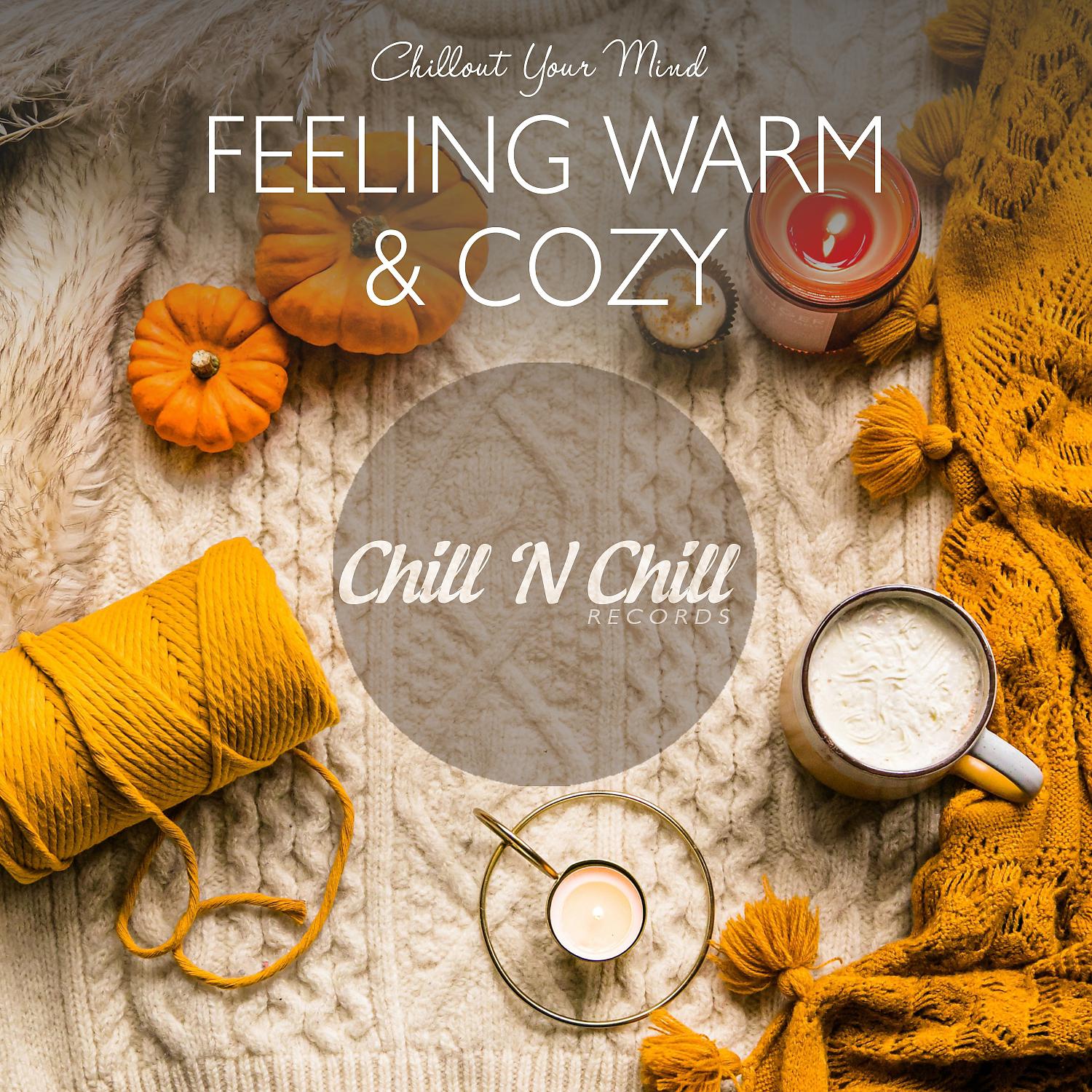 Постер альбома Feeling Warm & Cozy: Chillout Your Mind