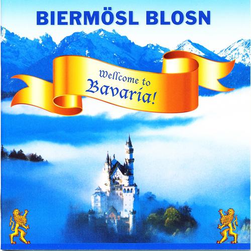 Постер альбома Wellcome to Bavaria!