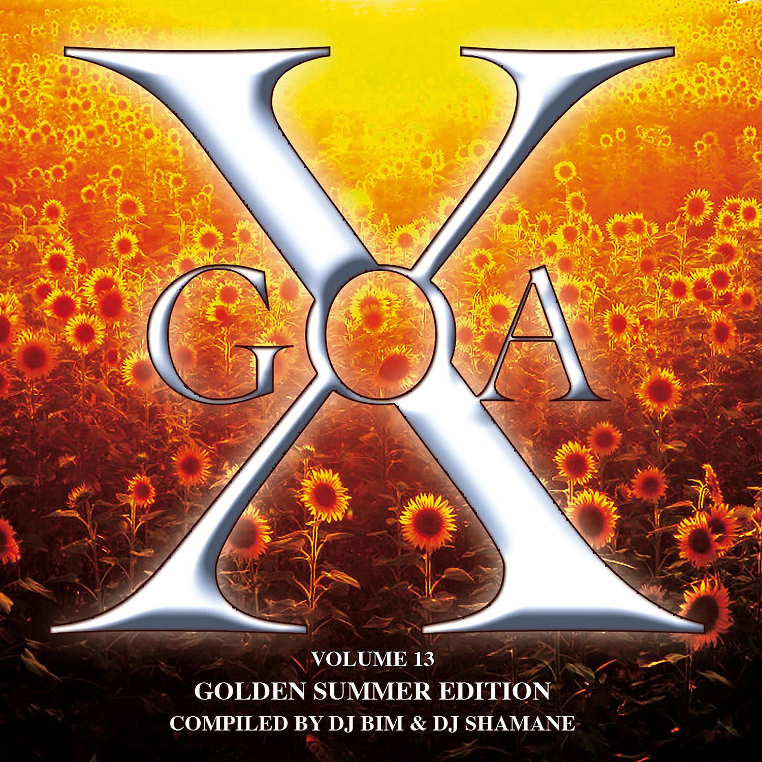 Постер альбома Goa X, Vol. 13