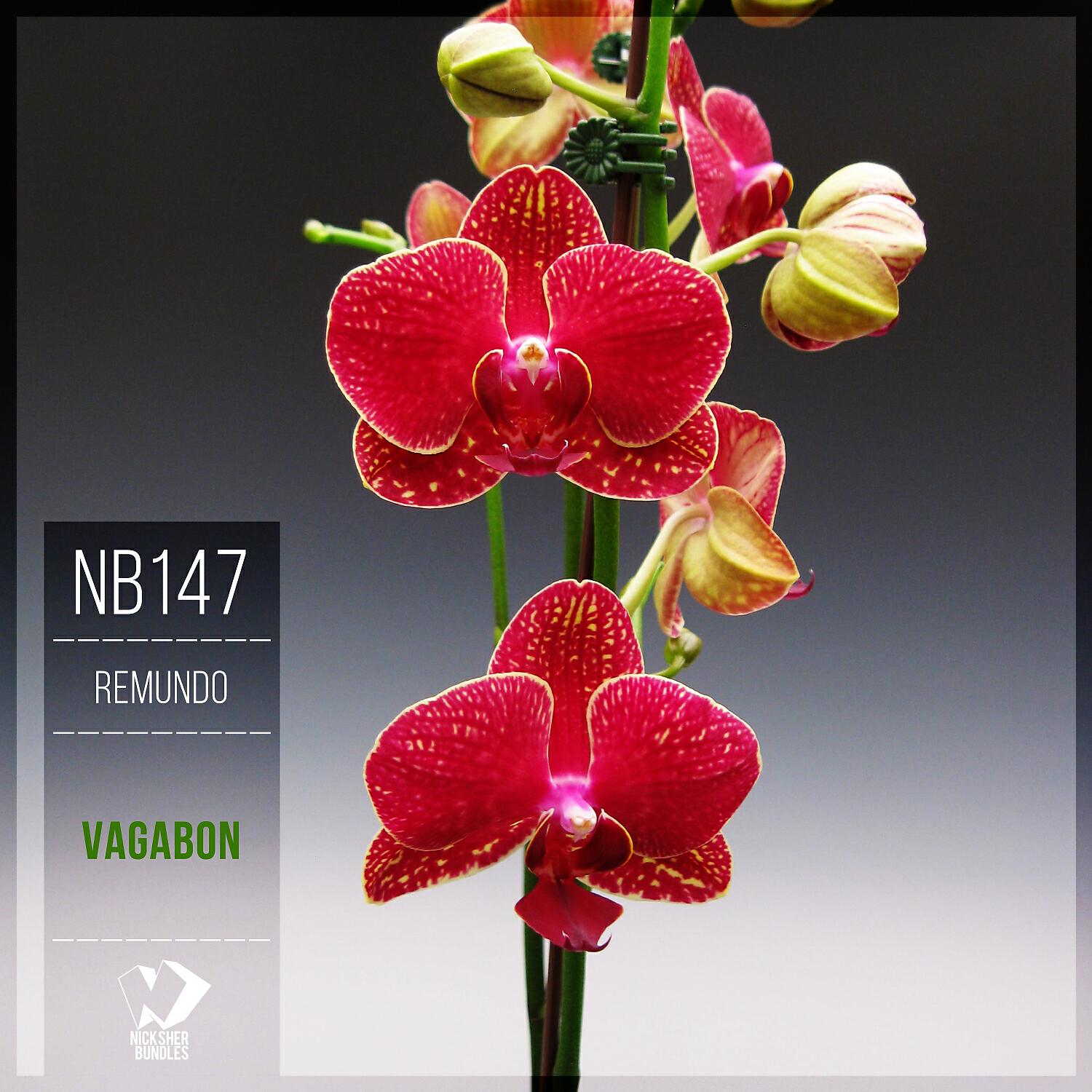 Remundo - Vagabon (Original Mix)