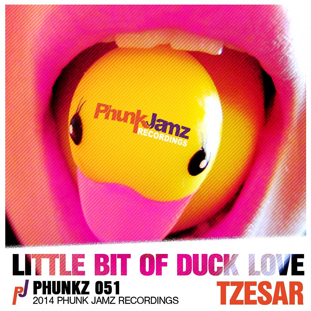 Tzesar - Little Bit Of Duck Love (Sean Biddle Remix)