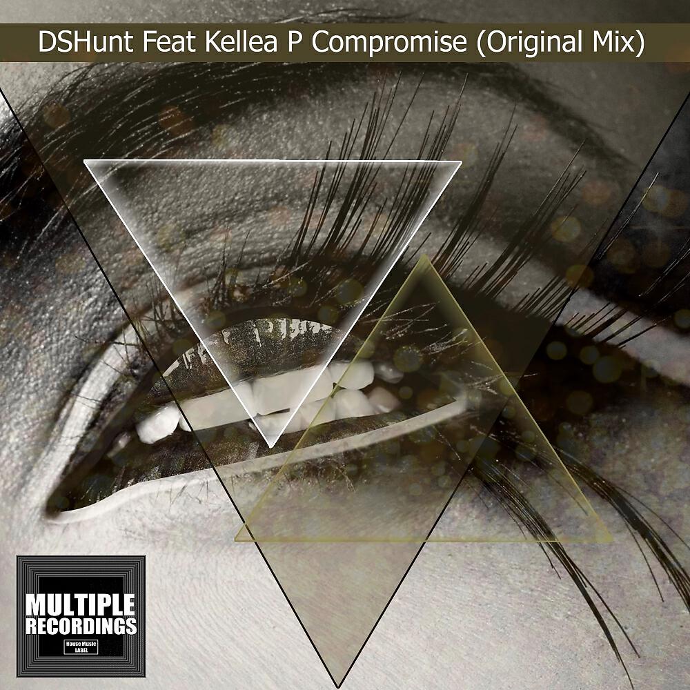 DSHunt - Compromise