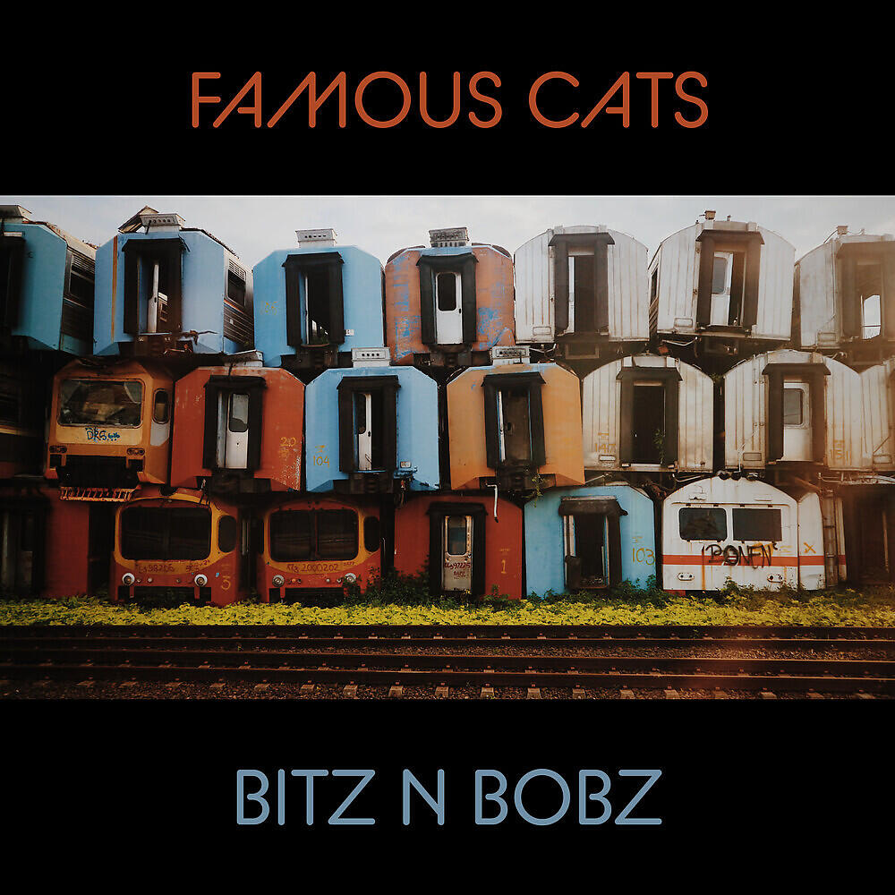 Famous Cats - Bitz