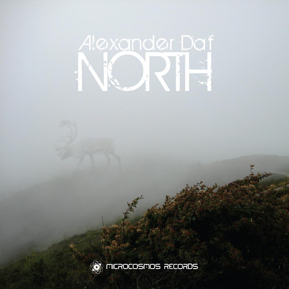 Alexander Daf - North