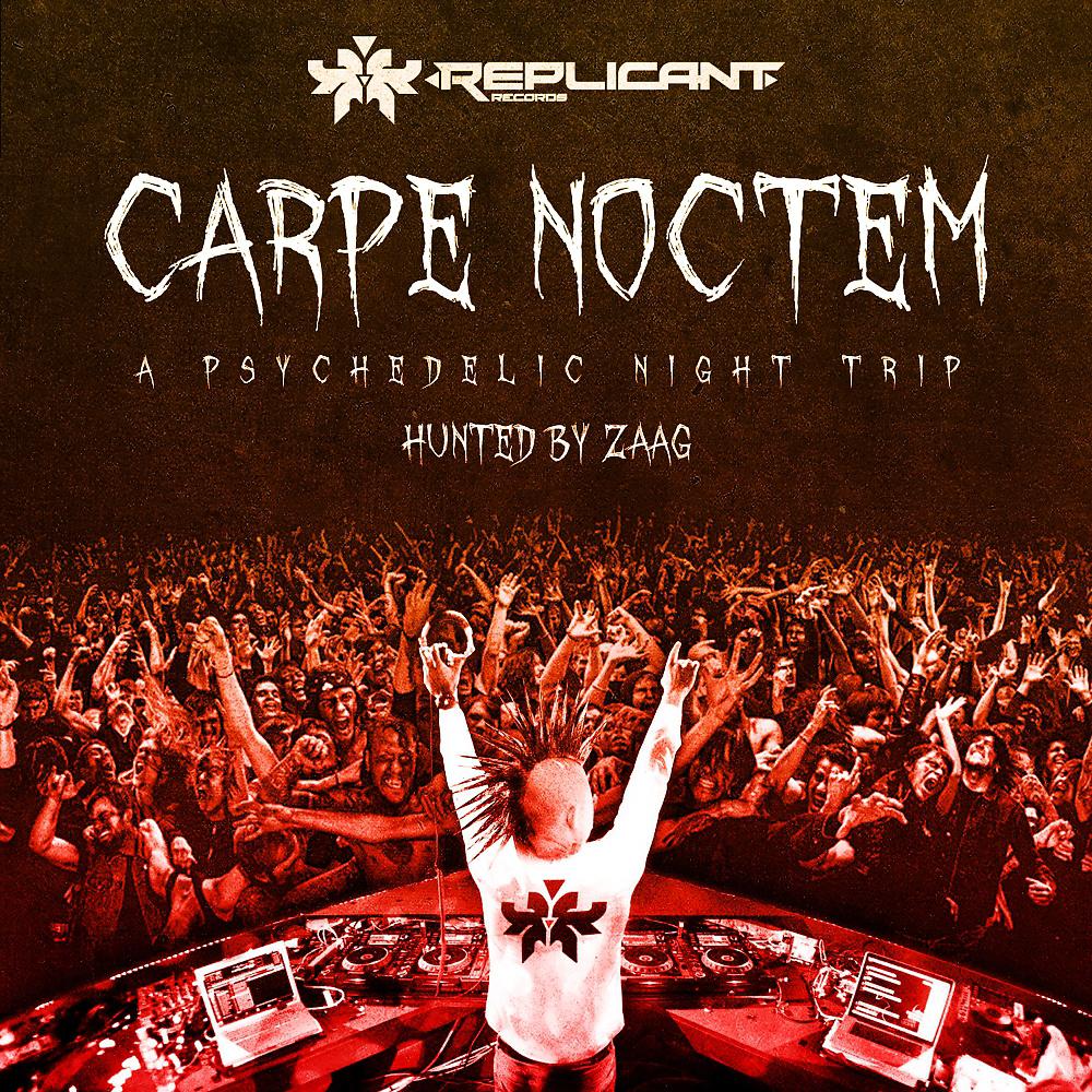 Постер альбома Carpe Noctem