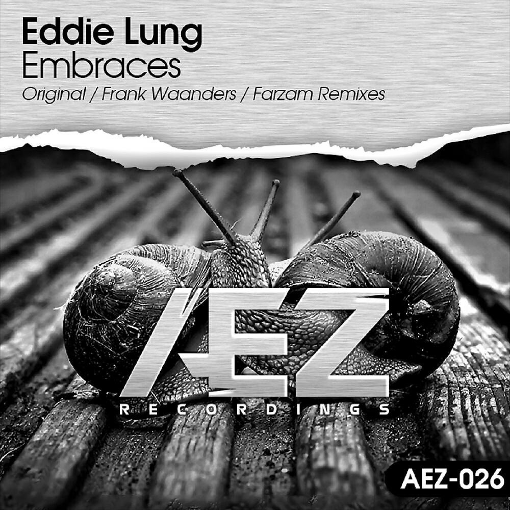 Eddie Lung - Embraces (Farzam Remix)