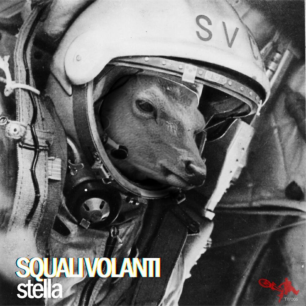 Squali Volanti - Alhena
