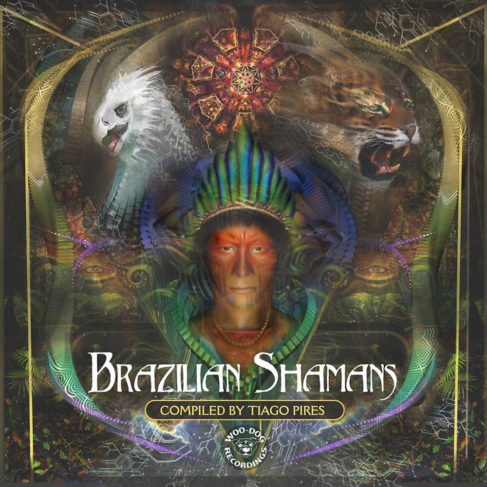 Постер альбома Brazilian Shamans