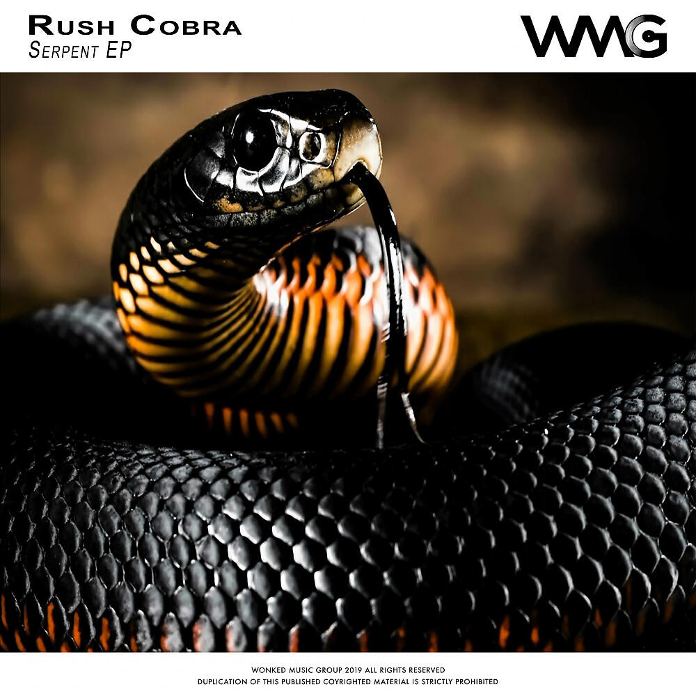 Rush Cobra - Disco Riot (Radio Mix)