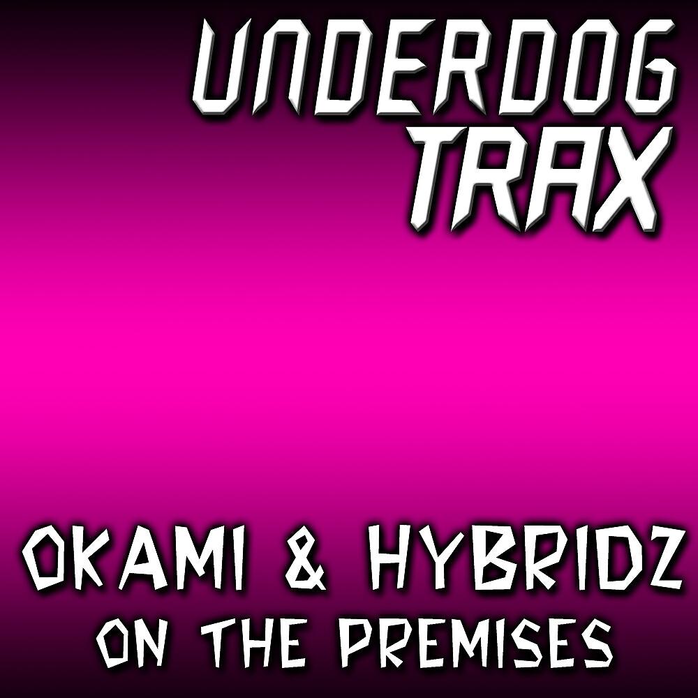 Hybridz - On The Premise