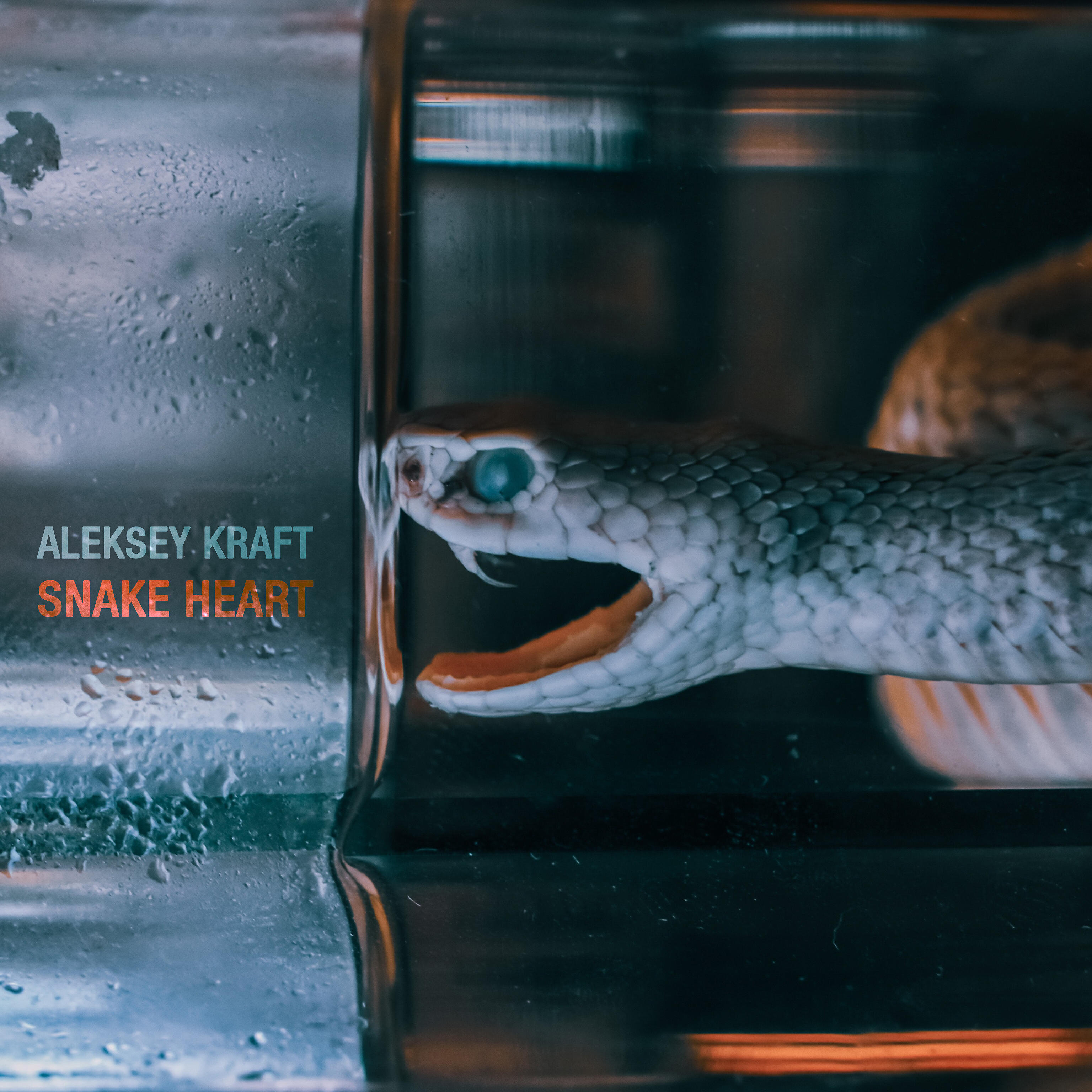 Aleksey Kraft - Choking the Victim