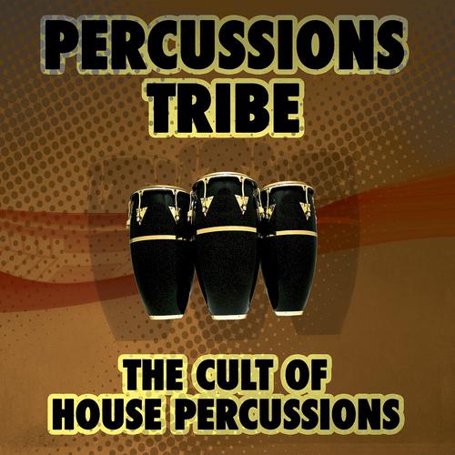 Постер альбома Percussions Tribe: The Cult of House Percussions