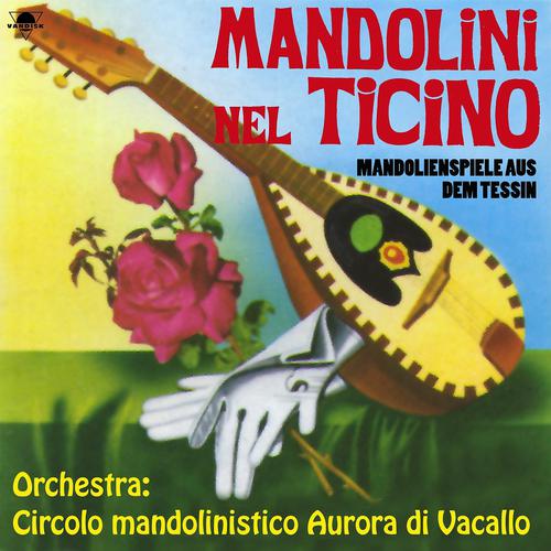 Постер альбома Mandolini del ticino