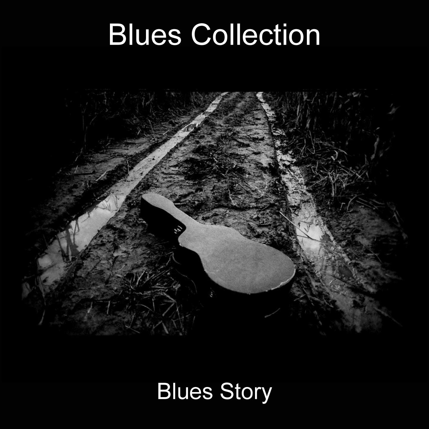 Постер альбома Blues Collection 126 Hits (Blues Story)