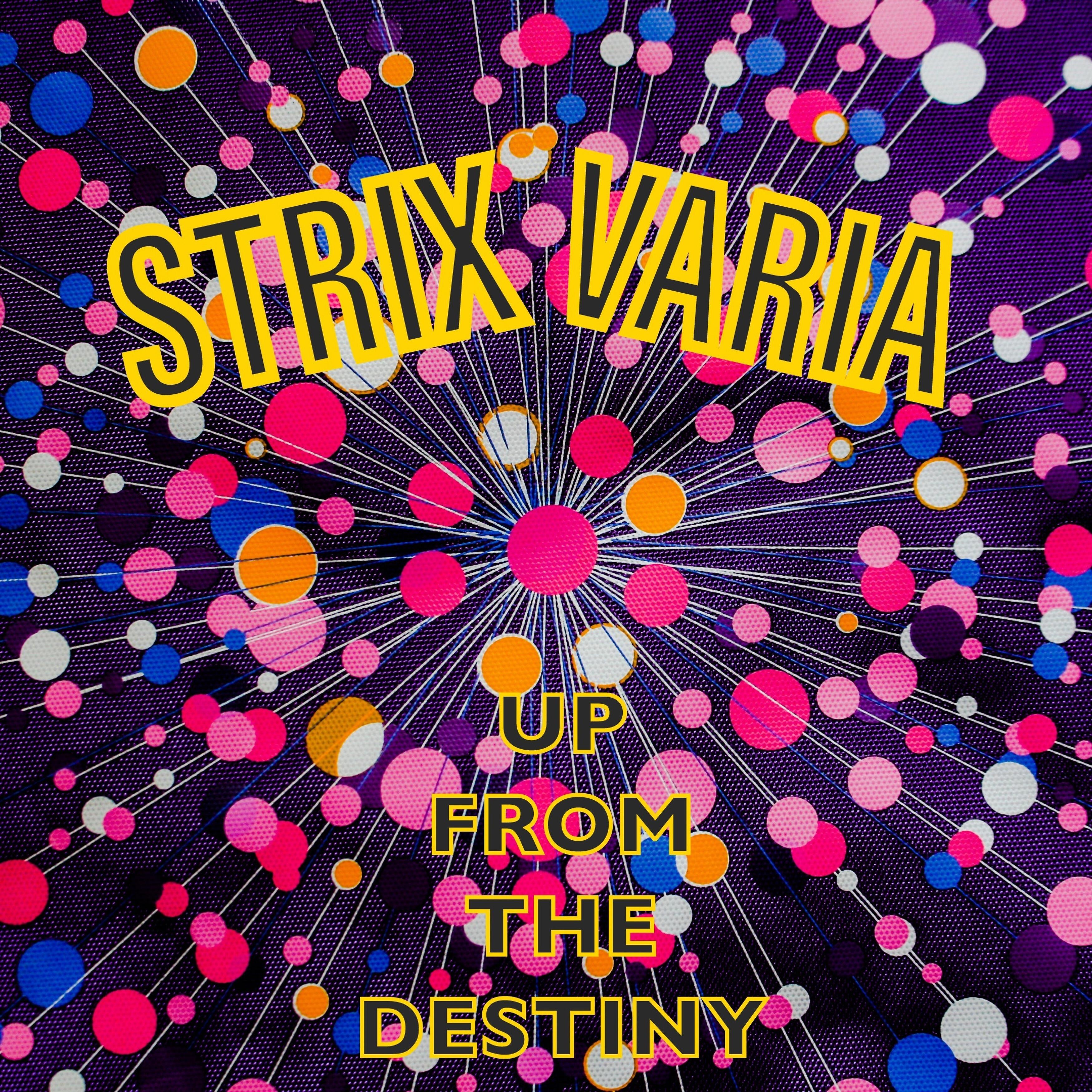 STRIX VARIA - Don`t Stay
