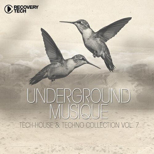 ASTRONIVO - Roll With Music (Sean Random Remix)