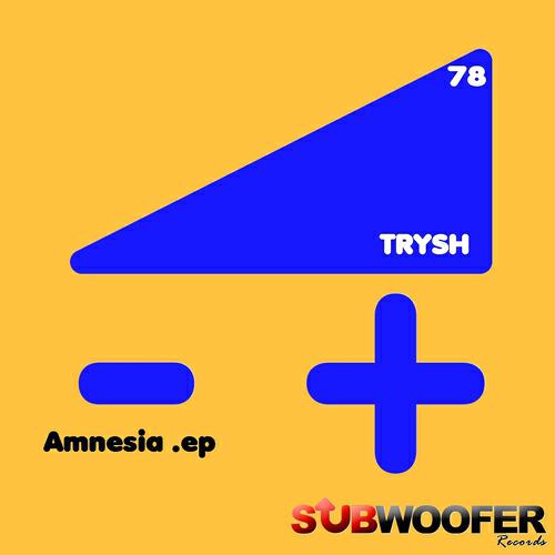 Trysh - In the Time of Flints