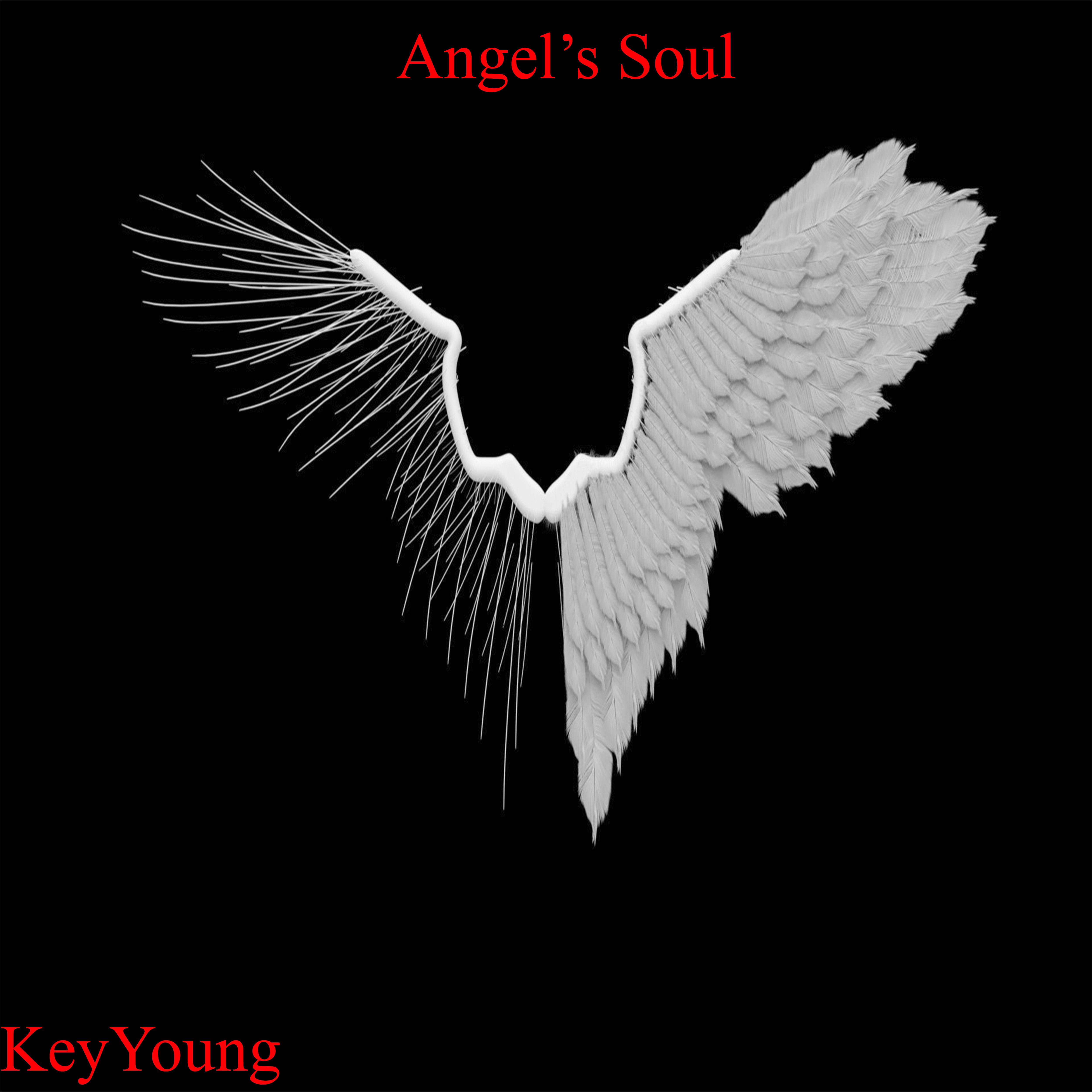 Постер альбома Angel's Soul