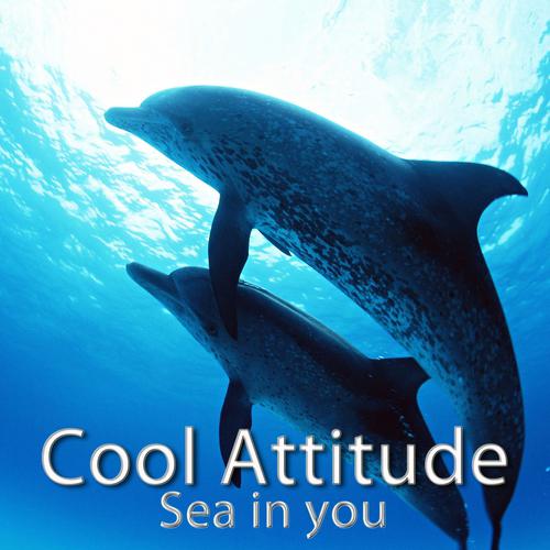 Постер альбома Cool Attitude - Sea in You