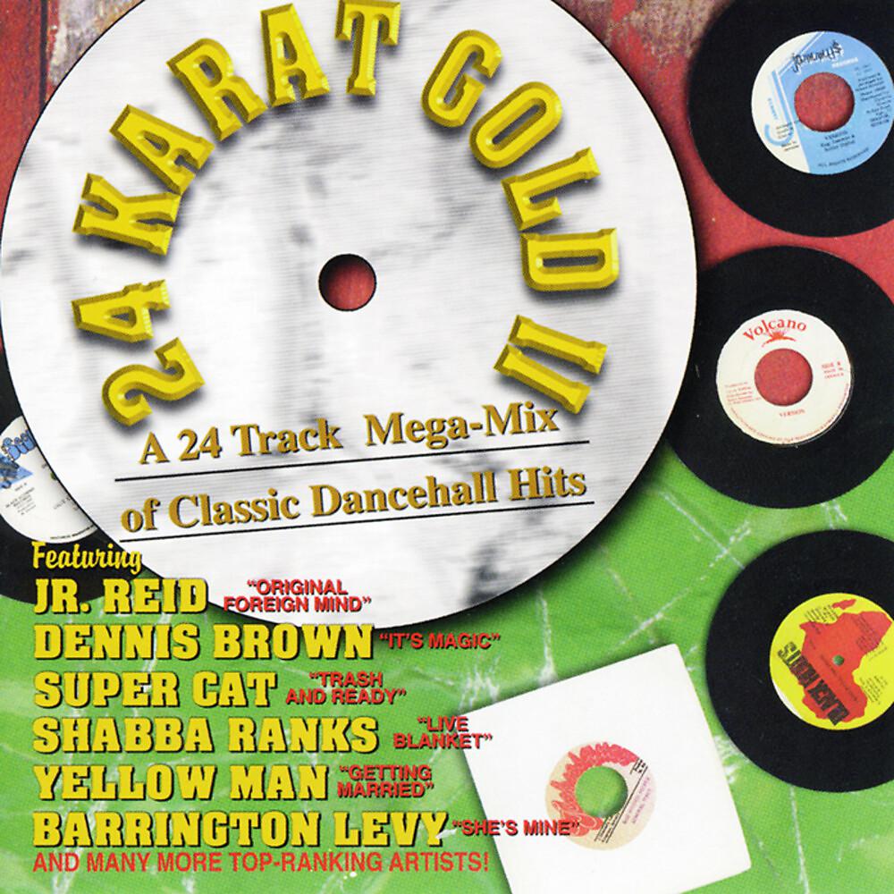 Постер альбома 24 Karat Gold II: Classic Dancehall Megamix