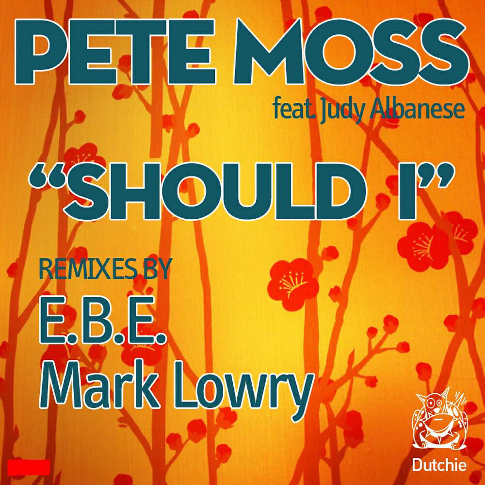 Pete Moss - Should I (Mark Lowry Remix)