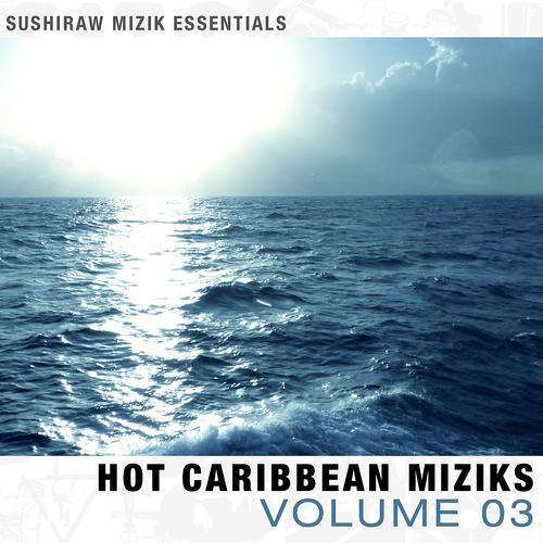 Постер альбома Hot Caribbean Miziks 03