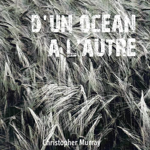 Christopher Murray - Taureau assis