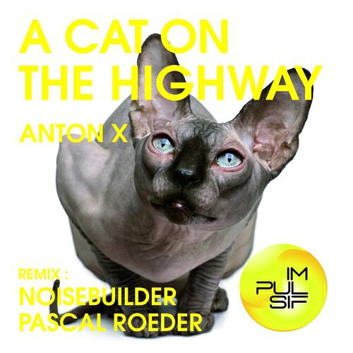 Anton X - A Cat On the Highway (Noisebuilder Remix)