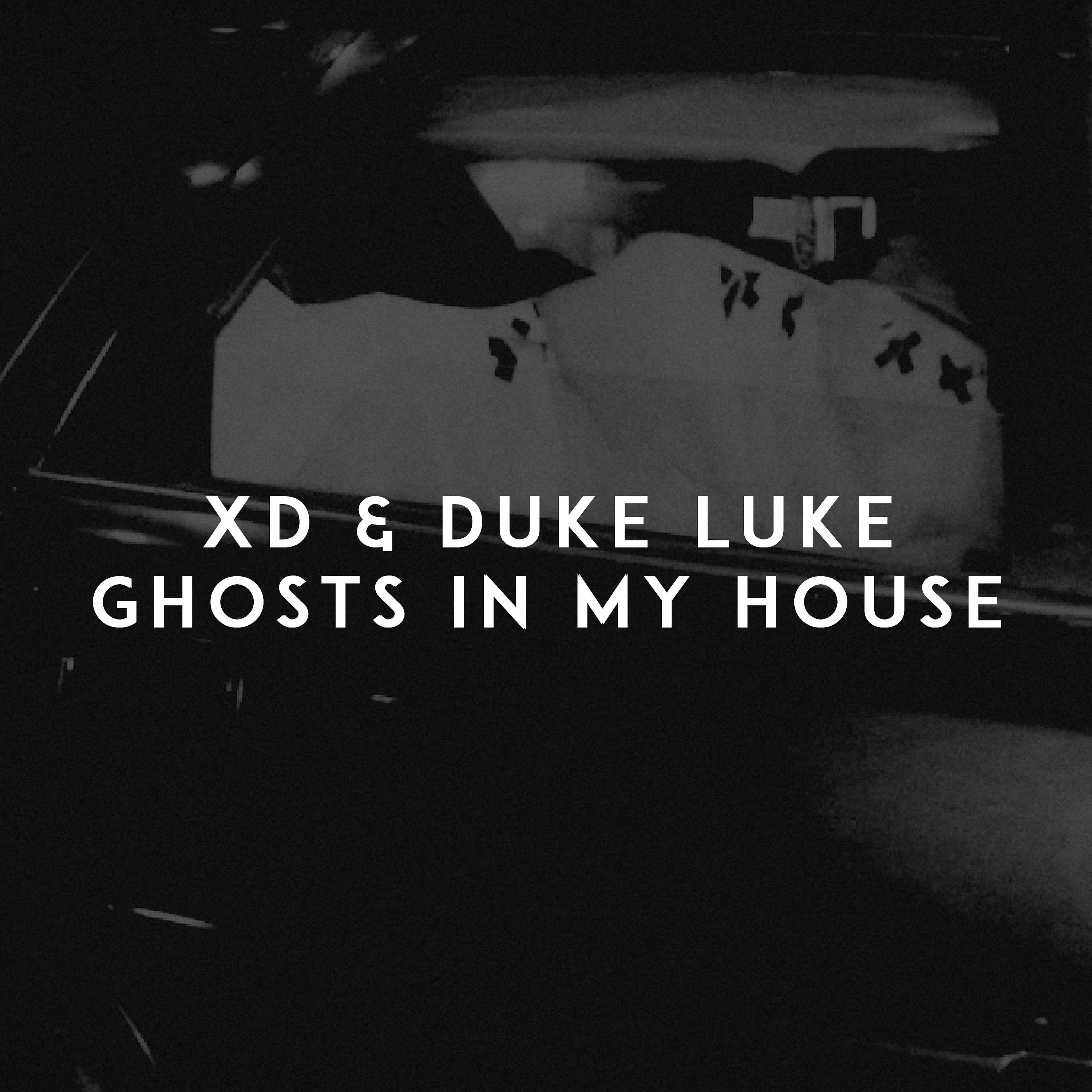 Постер альбома Ghosts in My House