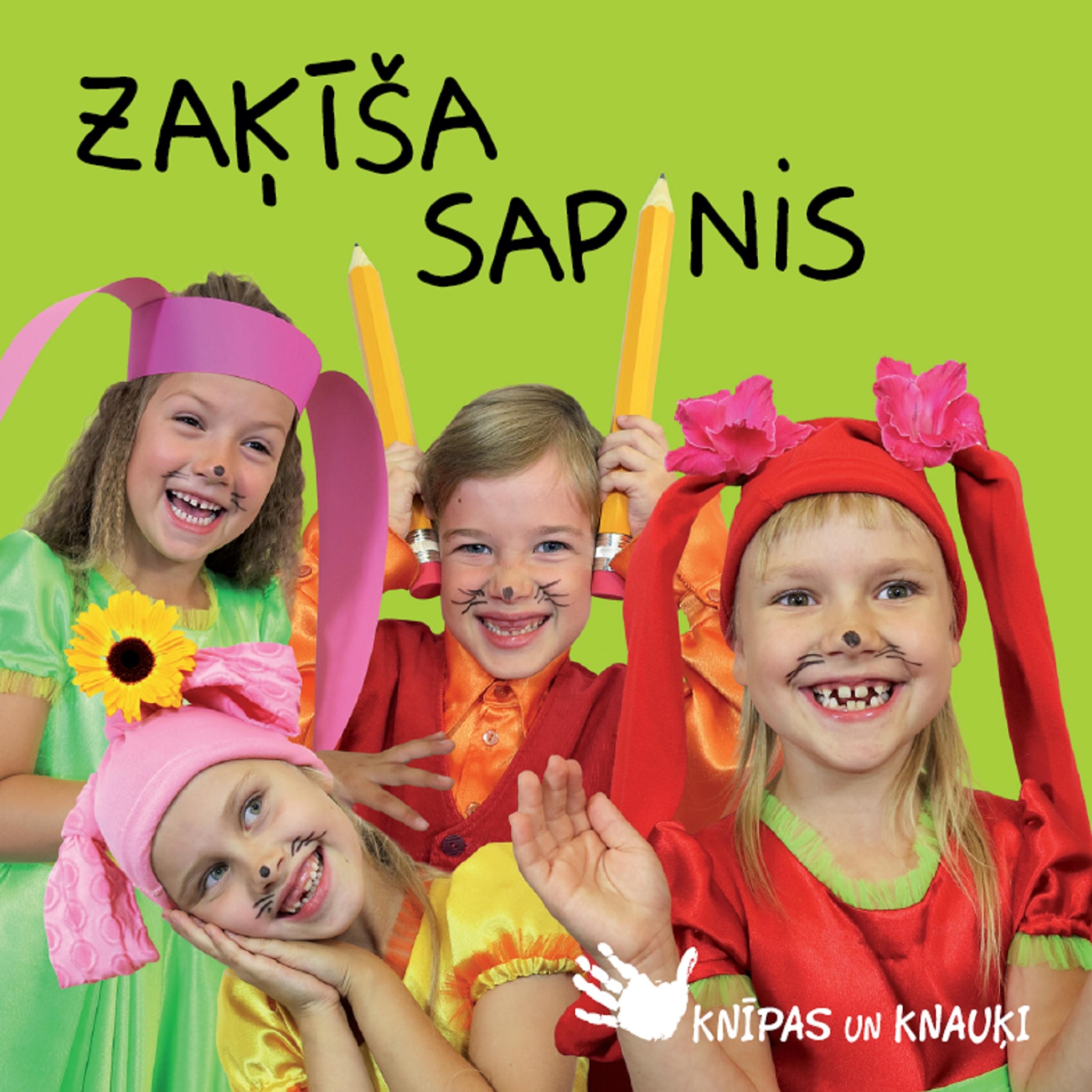 Постер альбома Zaķīša sapnis