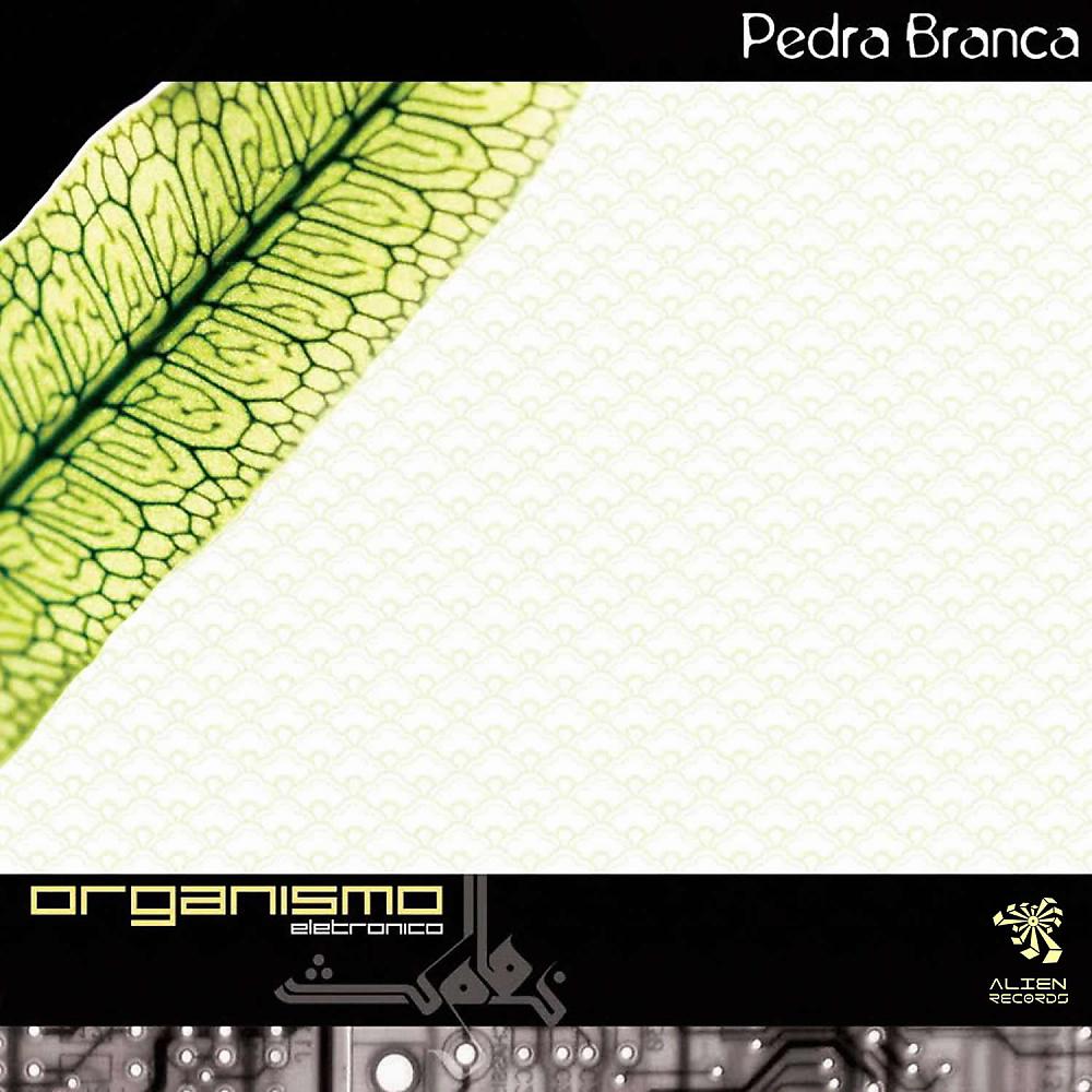 Постер альбома Organismo Eletrônico