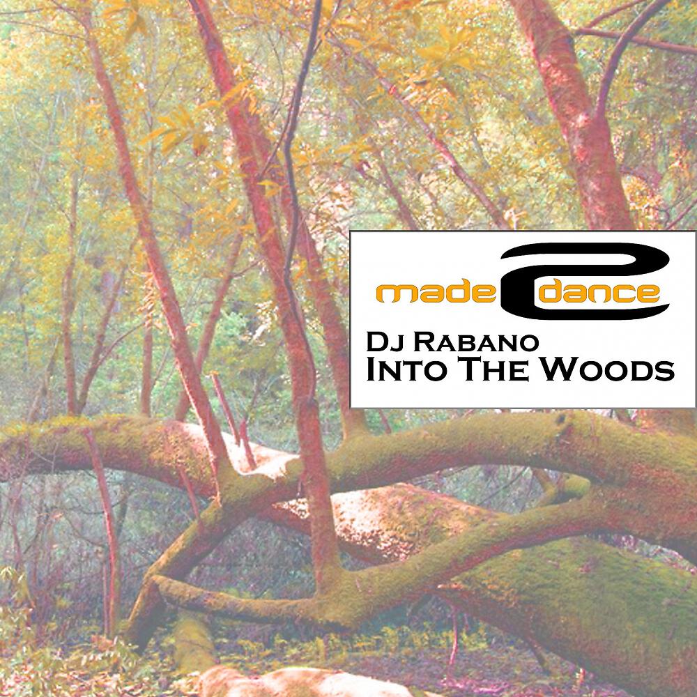 DJ Rabano - Into The Woods