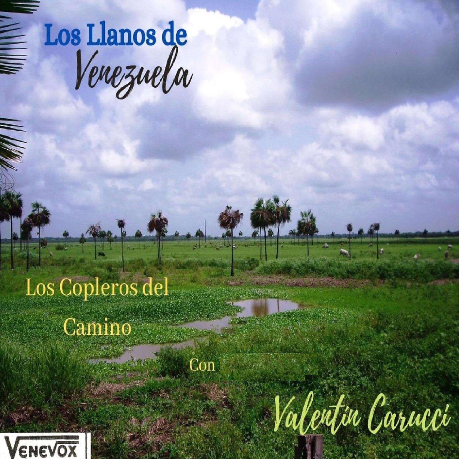 Los Copleros del Camino - Querer que te Vas