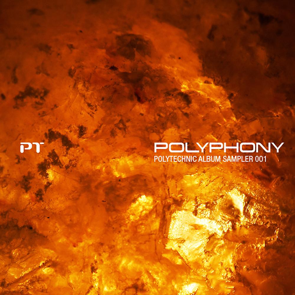 Постер альбома Polyphony - Polytechnic Album Sampler 001
