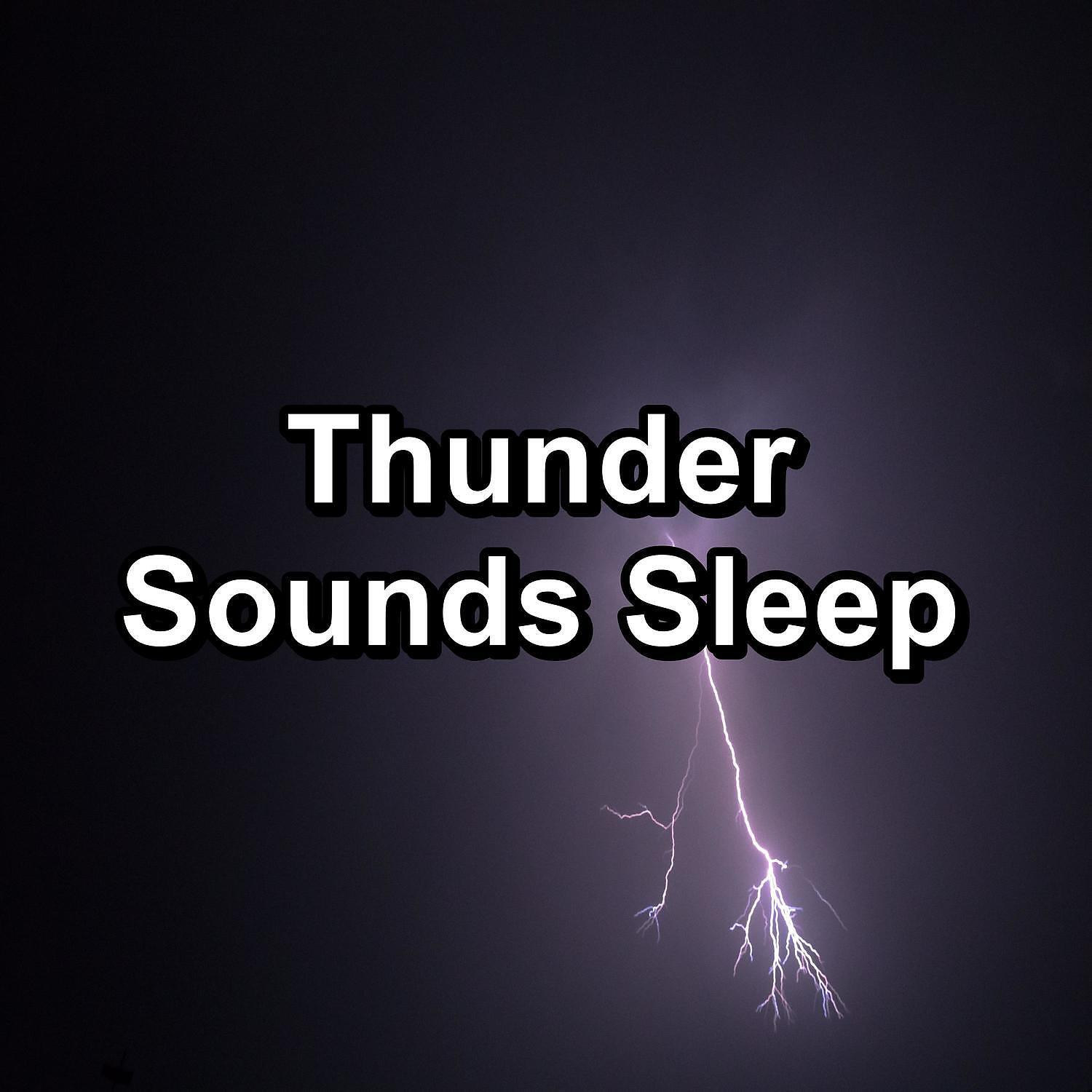 Nature Sounds - Rain Sound For a Peaceful Night with Sleeping Music