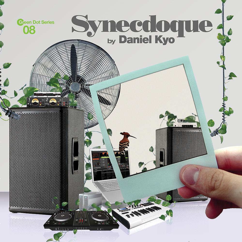 Постер альбома Synecdoque