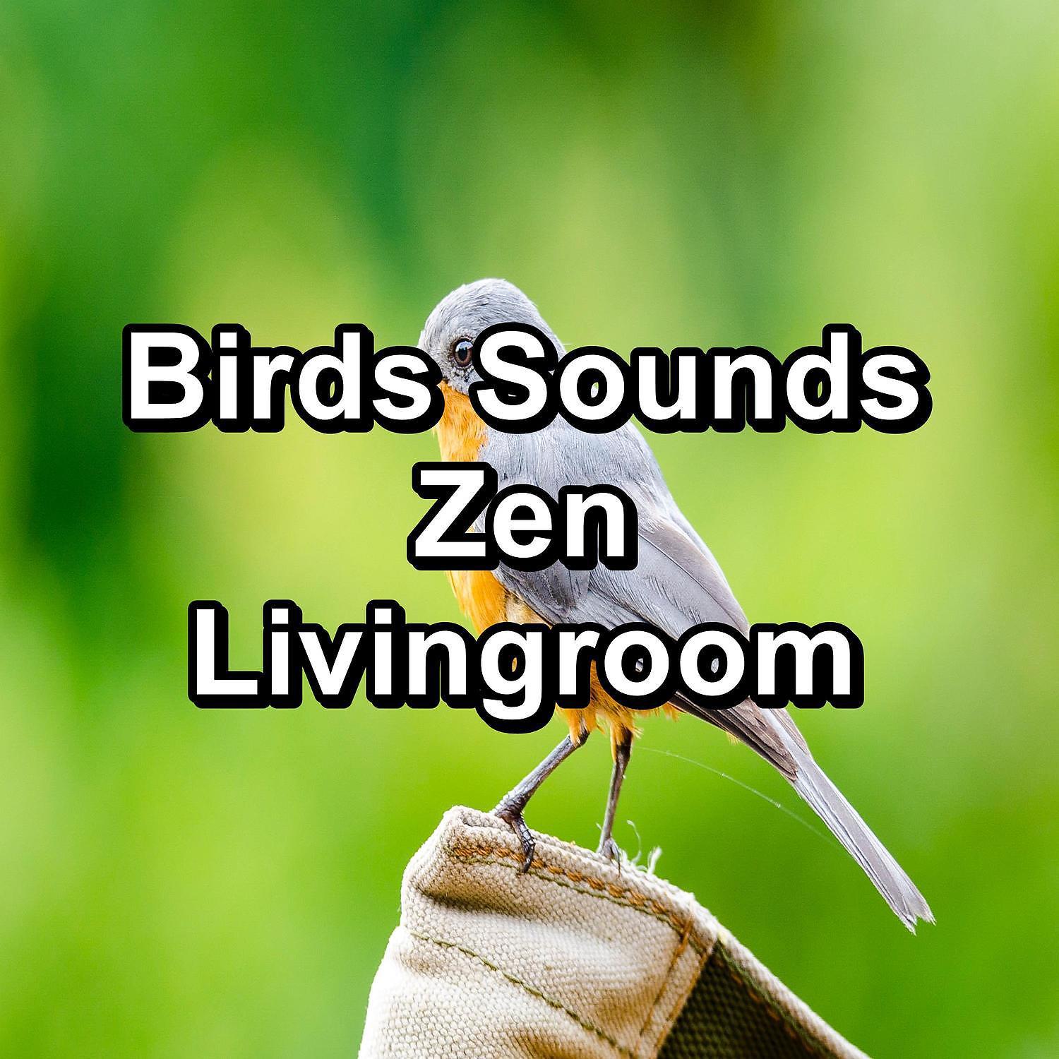 Постер альбома Birds Sounds Zen Livingroom