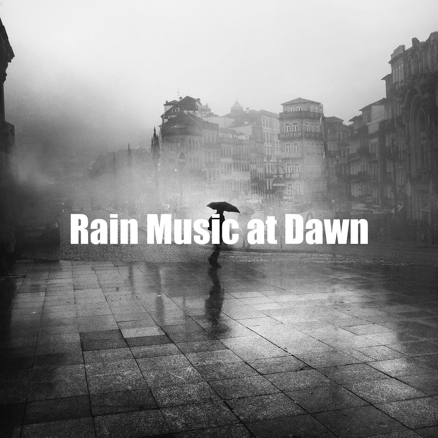 Постер альбома Rain Music at Dawn
