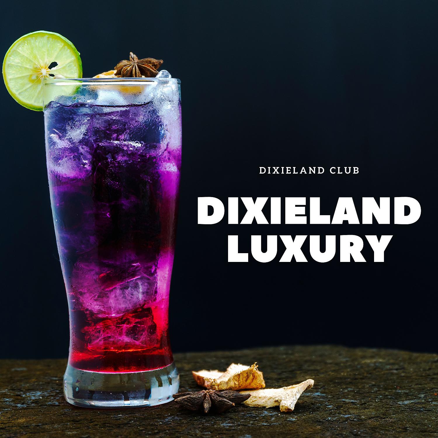 Постер альбома Dixieland Luxury