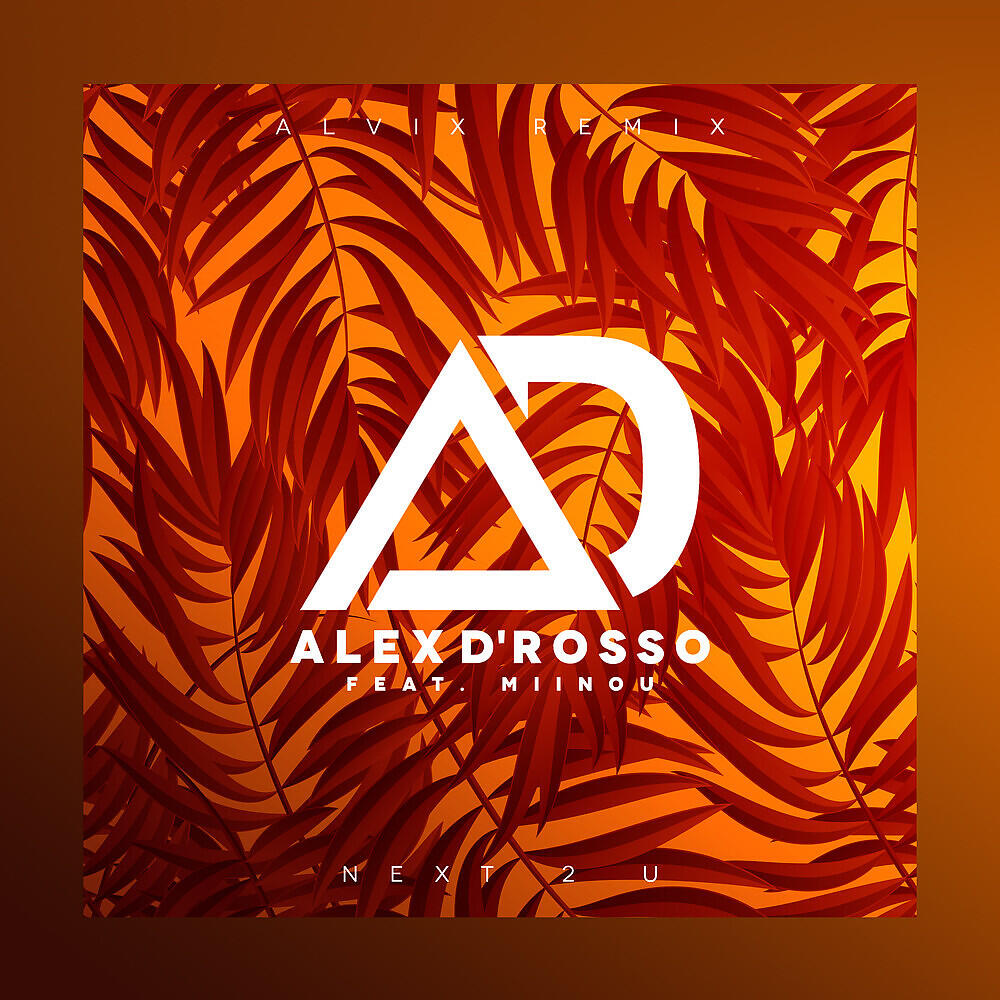 Alex D'Rosso - Next 2 U (Alvix Remix)