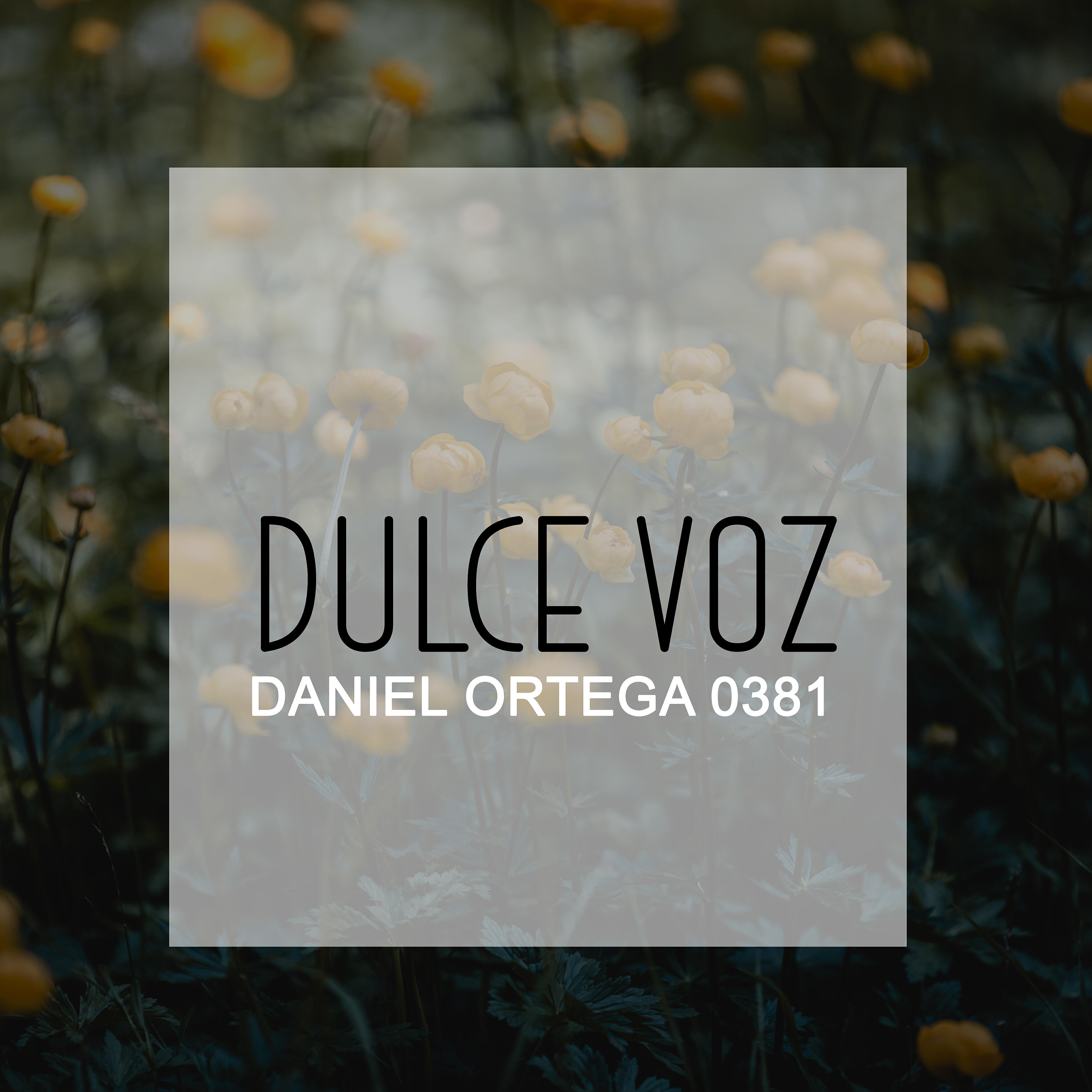 DANIEL ORTEGA 0381 - Dulce Voz